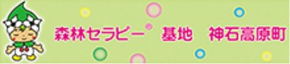 森林セラピー