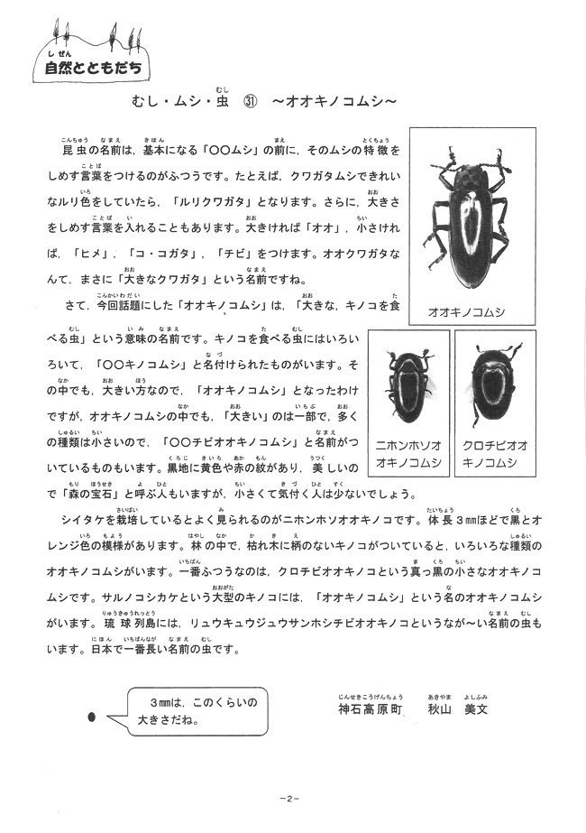 アイアイ２１１号　２